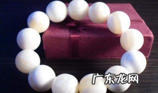 砗磲有什么功效 砗磲的功效简单介绍