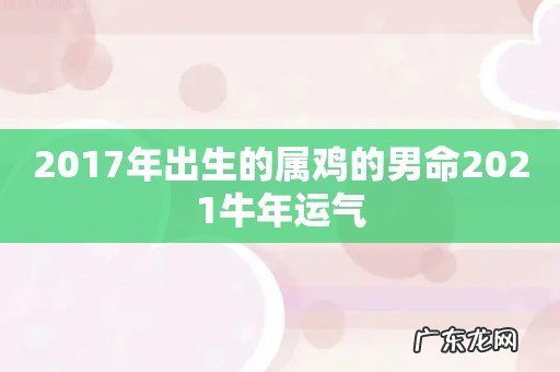 2017年出生的属鸡的男命2021牛年运气