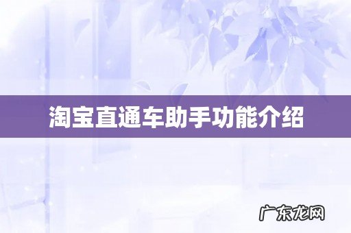 淘宝直通车助手功能介绍