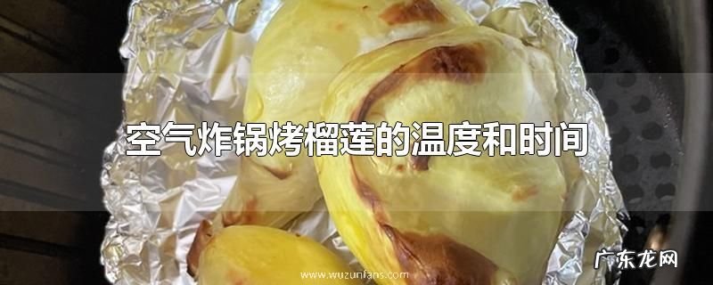 空气炸锅烤榴莲的温度和时间