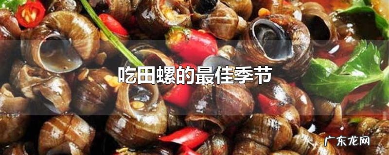 四五月份的田螺能吃吗