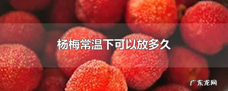 杨梅常温下可以放多久