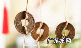 家里进来蝙蝠什么预兆 家里进来蝙蝠有什么说法