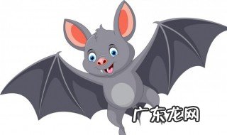 房间飞进蝙蝠什么预兆 房间飞进蝙蝠有什么说法