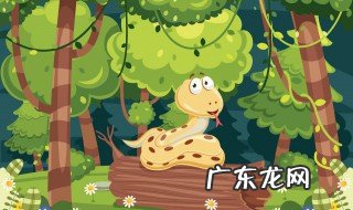 店里进蛇有什么预兆 店里进蛇代表什么预兆