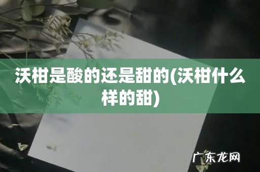 沃柑什么样的甜 沃柑是酸的还是甜的