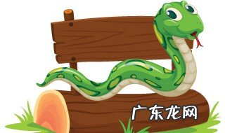 有蛇进屋有什么预兆 有蛇进屋预兆是什么
