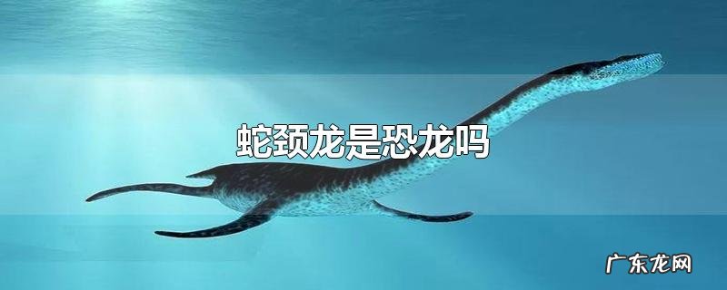 蛇颈龙是恐龙吗