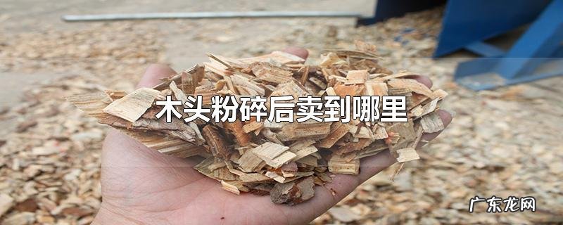 木头粉碎后卖到哪里