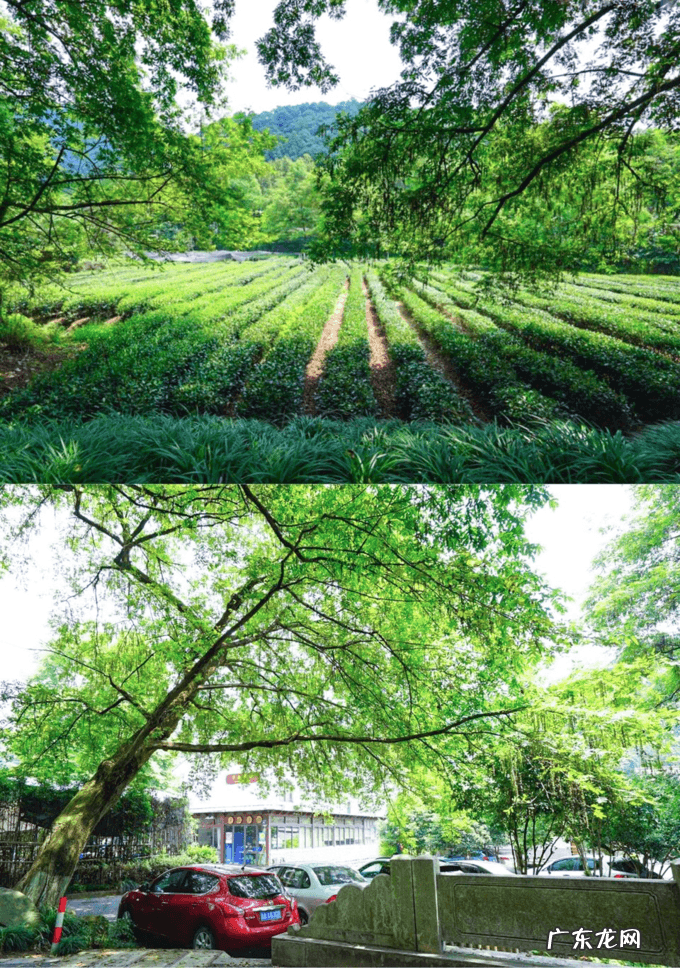 慎思堂 慎思堂风水