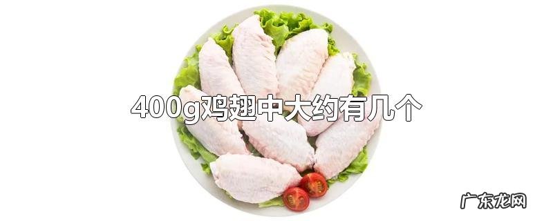400g鸡翅中大约有几个