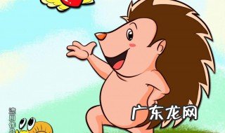碰见刺猬是什么预兆 碰见刺猬有哪些预兆