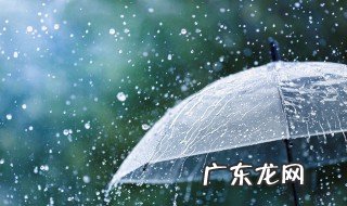 下雨前有什么预兆 下雨前有哪些预兆