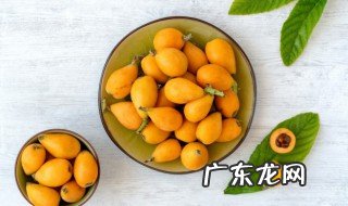 枇杷膏有什么功效 枇杷膏的功效