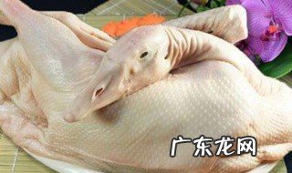 鹅不能和什么同食 鹅肉不能和什么一起吃
