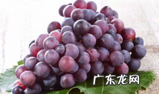 葡葡不能和什么一起吃 葡葡不能和哪些食物一起吃