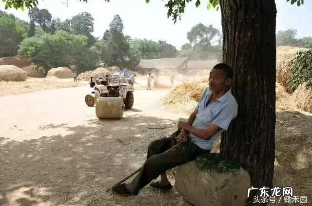 房大过厅风水怎么说 房比厅大风水好不好