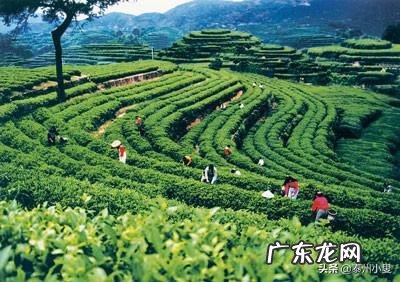 历代螺形地风水 信宜风水地仰天螺