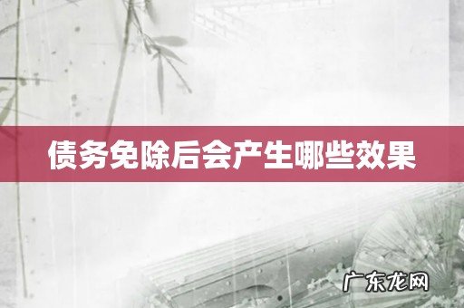 债务免除后会产生哪些效果