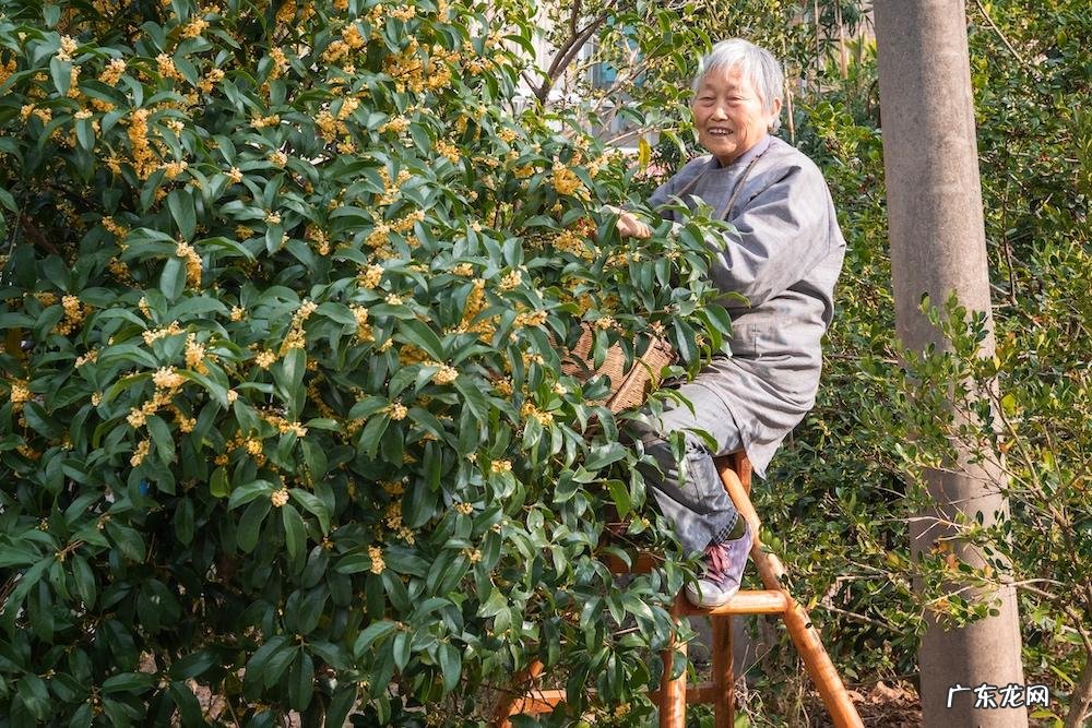 算二十四 24节气