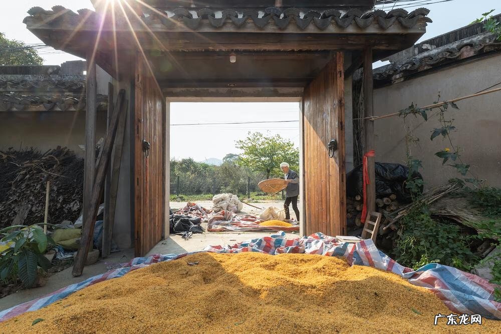 算二十四 24节气