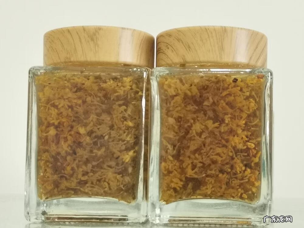 算二十四 24节气