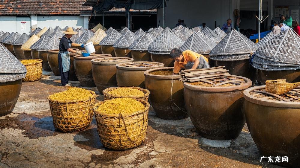 算二十四 24节气