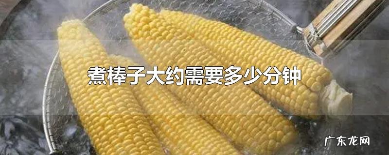 煮棒子大约需要多少分钟