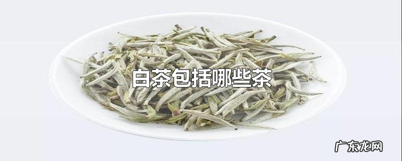 白茶包括哪些茶