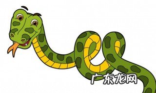 有蛇进屋预兆着什么 有蛇进屋预兆着什么含义