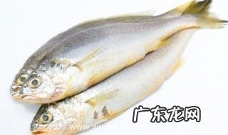 鱼不能和什么水果一起吃 鱼不能和哪些水果一起吃