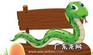 蛇进家里是什么预兆 蛇进家里的预兆