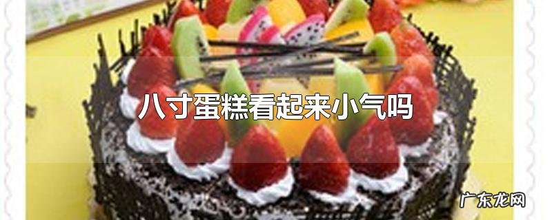 八寸蛋糕看起来小气吗