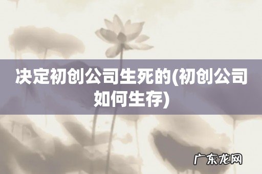 初创公司如何生存 决定初创公司生死的