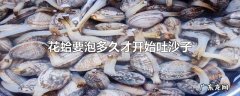 花蛤要泡多久才开始吐沙子