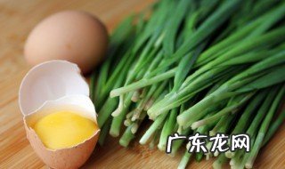 南方冬天怎么种植韭菜 南方冬天如何种植韭菜