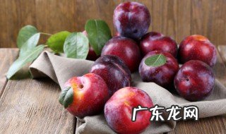 李子种子泡几天发芽 李子种子泡多长时间发芽