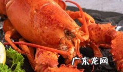 钓龙虾用什么饵料 钓龙虾用哪些饵料