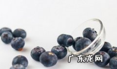 蓝莓种植要什么条件 蓝莓的种植条件有什么需求