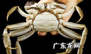 螃蟹喜欢吃什么食物 螃蟹喜欢吃的食物