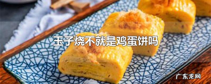 玉子烧不就是鸡蛋饼吗