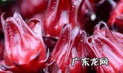 玫瑰茄有什么功效 玫瑰茄有哪些功效