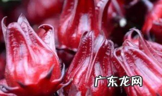 玫瑰茄有什么功效 玫瑰茄有哪些功效