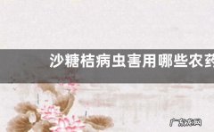 沙糖桔病虫害用哪些农药防治，防治方法有哪些