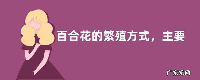 百合花的繁殖方式,主要有这四种方法
