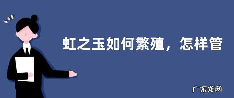 虹之玉如何繁殖,怎样管理养护