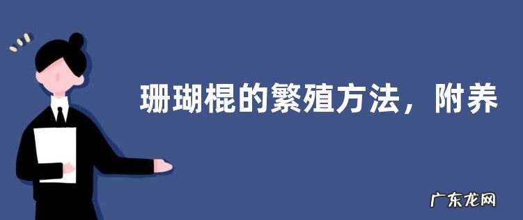 珊瑚棍的繁殖方法，附养护要点