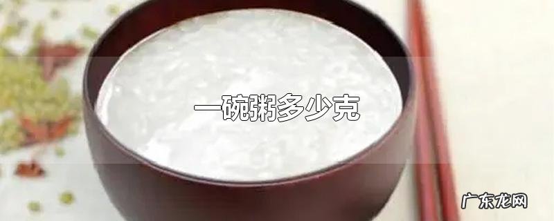 一碗粥多少克