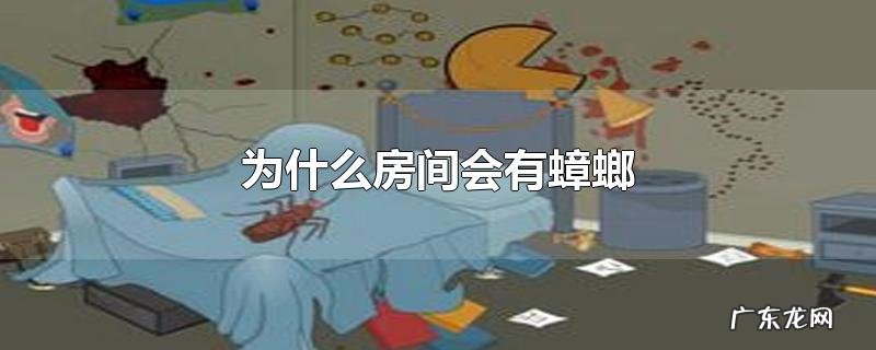 为什么房间会有蟑螂