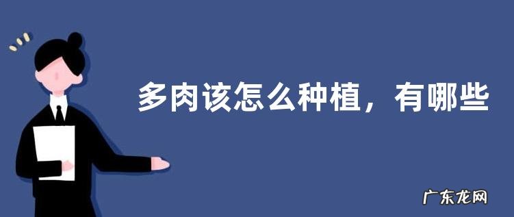 多肉该怎么种植，有哪些注意事项